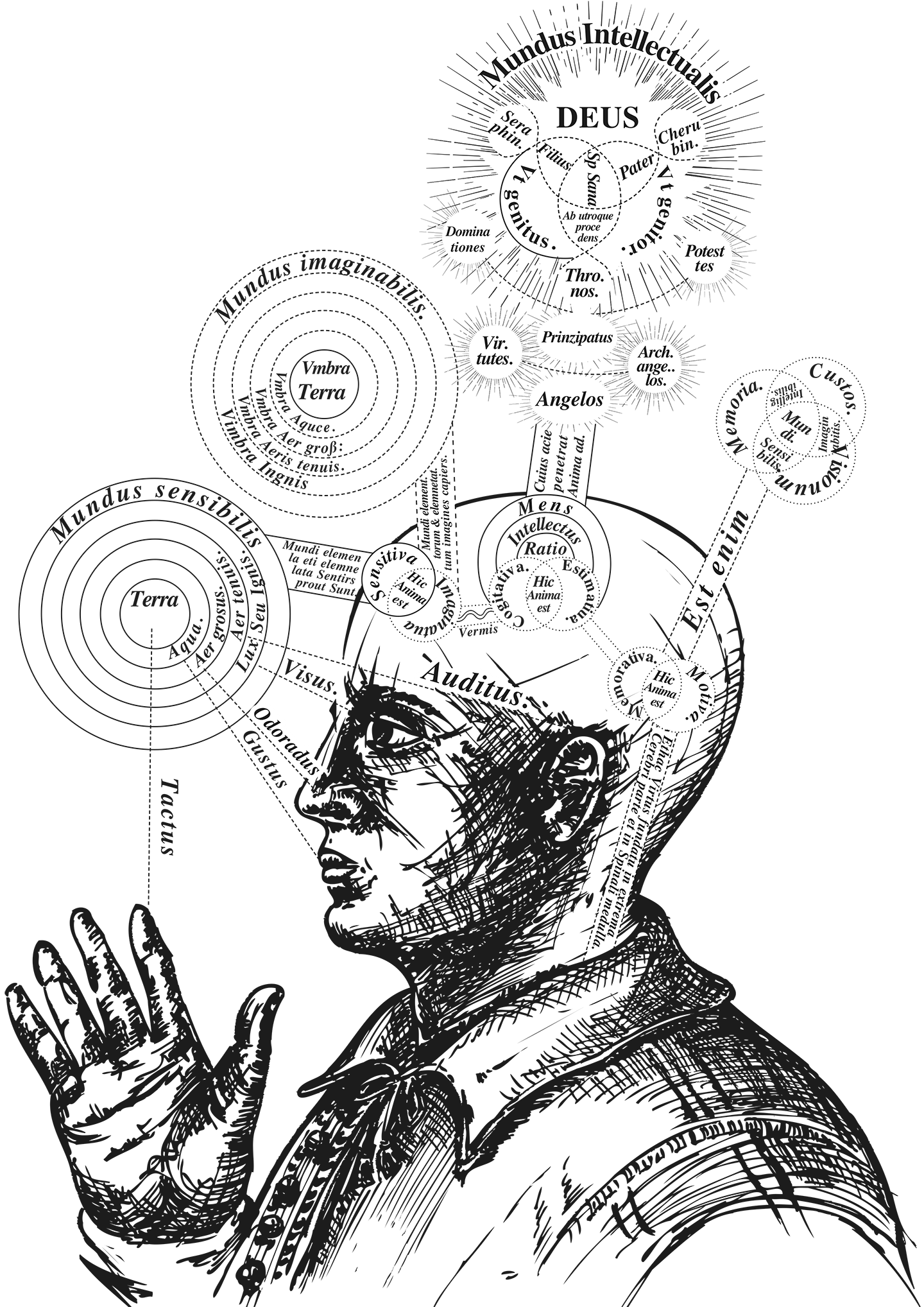 Eine Illustration, die zeigt, welche Eigenschaften, wo im Kopf des Menschen sitzen.